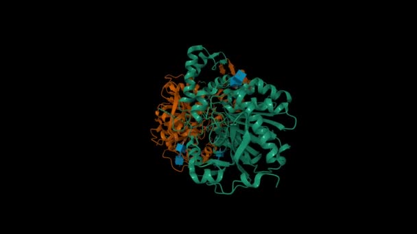 导管蛋白A的晶体结构 Apo Structure 动画3D卡通和高斯曲面模型 链状色系方案 Pdb 4Ci9 黑色背景 — 图库视频影像