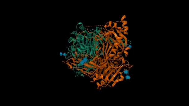 Estrutura Cristalina Diamina Oxidase Humana Desenhos Animados Modelos Superfície Gaussianos — Vídeo de Stock
