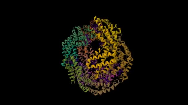 Estructura Alofilocianina Una Proteína Que Recoge Luz Gloeobacter Violaceus Animado — Vídeos de Stock