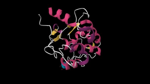 人卵膜蛋白Juno的晶体结构 动画3D卡通模型 Pdb 5F4Q 二级结构配色方案 黑色背景 — 图库视频影像