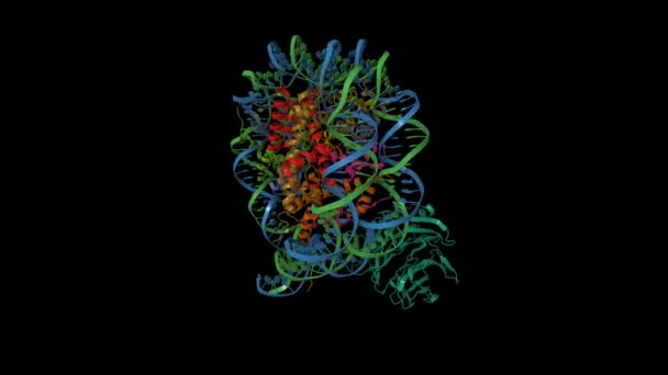 Cryo Structure Retinoblastoma Binding Protein Green Bound Nucleosome Animated Cartoon — Stock Video