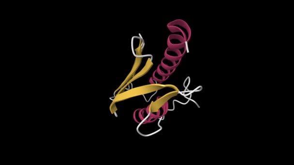 Křišťálová Struktura Zralého Lidského Frataxinu Animovaný Kreslený Model Sekundární Struktura — Stock video