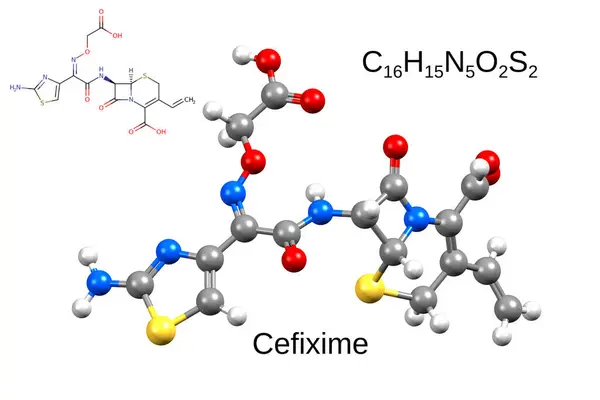 抗生素紫杉木 白背景的化学配方 结构配方及三维球棒模型 图库图片