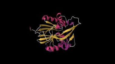 N- acyl homoserine laktonaz ve substrat bağlanmış nitrojen nitrat yapısında kristal bir yapı. Canlandırılmış 3D karikatür ve Gauss yüzey modelleri, PDB 2br6, ikincil yapı renk şeması