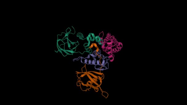 Structuur Van Von Hippel Lindau Ziekte Tumor Suppressor Vhl Groen — Stockvideo