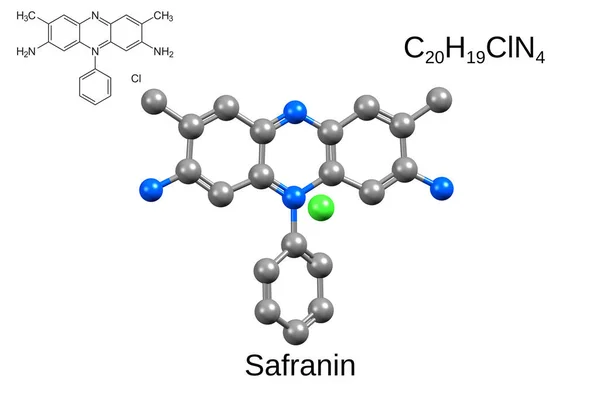 Safranin White Background化学配方 结构配方及三维球棒模型 图库图片
