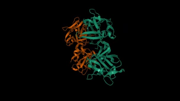 Crystal Structure Hemagglutinin Component Ha1 Type Clostridium Botulinum Animated Cartoon — Stock Video