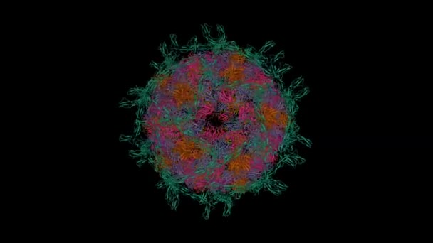 Kompleks Echovirus Dengan Faktor Peluruhan Reseptornya Cd55 Hijau Animasi Kartun — Stok Video