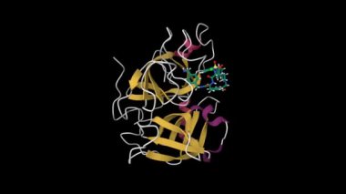 İnhibitörlü insan plazminojeni. Canlandırılmış 3D karikatür modeli, PDB 7uah, ikincil yapı renk şeması, siyah arkaplan