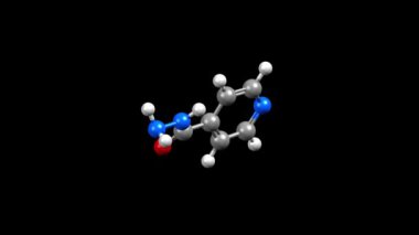 İyoniazid yapısı. Canlandırılmış 3 boyutlu top ve çubuk ve boşluk dolu modeller, siyah arkaplan.