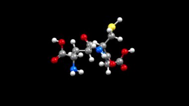 Glutathione yapısı. Canlandırılmış 3 boyutlu top ve çubuk ve boşluk dolu modeller, siyah arkaplan.