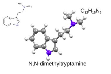 Kimyasal formül, yapısal formül ve N, N-Dimethyltryptamine 'in 3 boyutlu top ve sopa modeli.