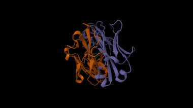 TAP01 'in amiloit beta peptit (yeşil) içeren kristal yapısı. Canlandırılmış 3D karikatür ve moleküler yüzey modelleri, zincir kimlik şeması, pdb 7ow1, siyah arkaplan