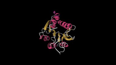 Kanserle ilgili bir nükleosit trifosfatazın çözüm yapısı. Canlandırılmış 3D çizgi film modeli, ikincil yapı renk şeması, pdb 2i3b, siyah arkaplan