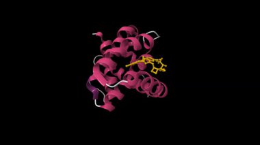 Mcl1 'in kristal yapısı ve inhibitörü. Canlandırılmış 3D çizgi film modeli, ikincil yapı renk şeması, pdb 6oqd, siyah arkaplan