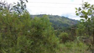 Sri Lanka 'nın orman manzaraları Demodara' dan Ella 'ya giden bir trenden izleniyor..