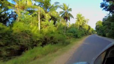 Sri Lanka 'da tipik bir köy manzarası