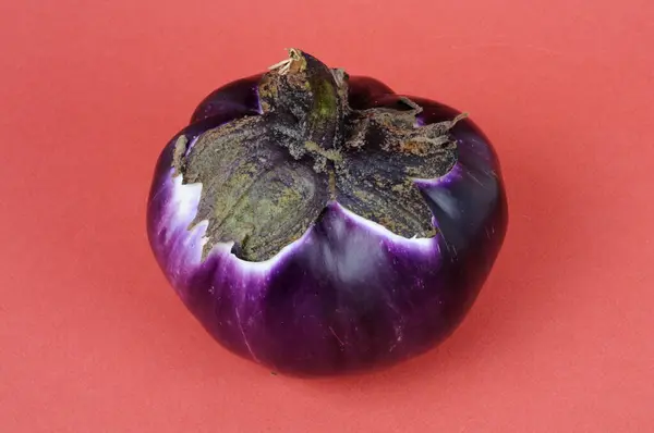 Tabakta soğan. Ön görünüm