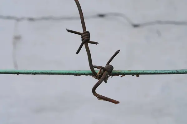 Beyaz bir duvara karşı yeşil bir demir telin üzerindeki eski dikenli tel.