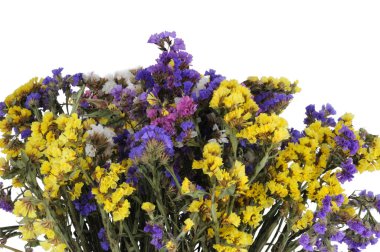 Beyaz arka planda izole edilmiş bir buket kurumuş çiçek. Stüdyo çekimi.