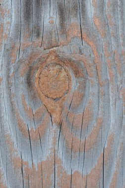 Eski ahşap doku. Doğal desenli ahşap arka plan. Doğal desenli ahşap doku.