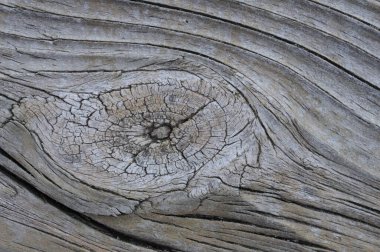 Arkaplan olarak eski ahşap dokular kullanılıyor. Yakın plan..