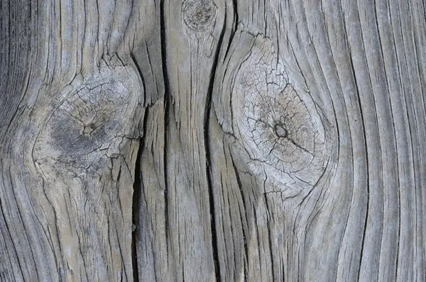 Tahta doku, düğümlü bir ağaç gövdesinin yakın çekimi.