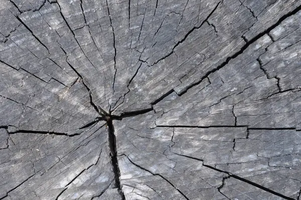 Eski ahşap doku. Eski doğal desenli ahşap bir arka plan. Çatlak ve çiziklerle ahşap yüzey.