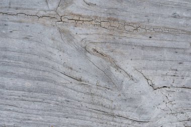 Eski ahşap yüzey dokusu gri renkte. Ahşap arka plan. Ahşap doku.
