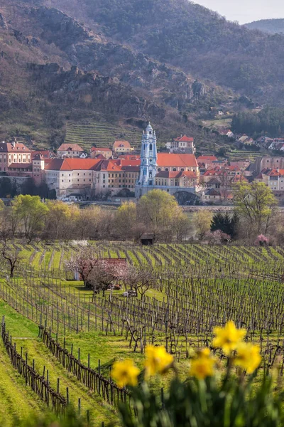 Деревня Дурнштайн Весной Рекой Дунай Долине Вахау Юнеско Австрия — стоковое фото