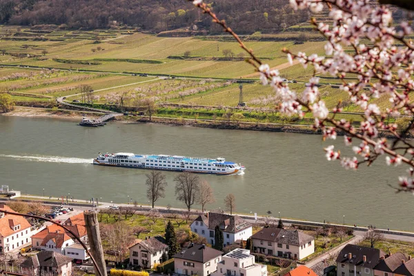 Spitz Village Ship Danube River Wachau Valley Unesco Spring Time — Stock Photo, Image
