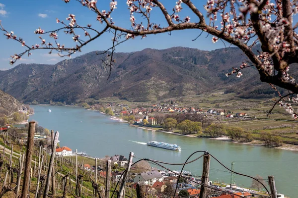 Villaggio Spitz Con Nave Sul Fiume Danubio Nella Valle Wachau — Foto Stock