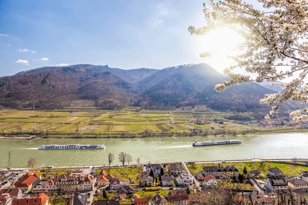 Villaggio Spitz Con Navi Sul Fiume Danubio Nella Valle Del — Foto Stock