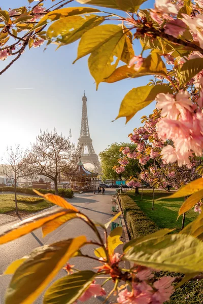 Torre Eiffel Durante Bela Primavera Paris França — Fotografia de Stock