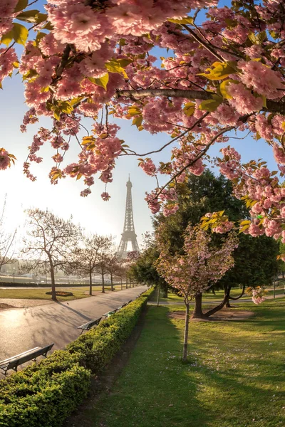 Paris Fransa Güzel Bahar Zamanı Eyfel Kulesi — Stok fotoğraf