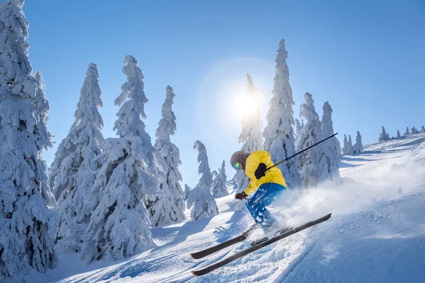 おとぎ話の冬の森に対する高山のスキージャースキーダウンヒル ストック画像