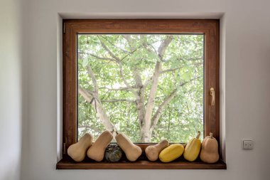 Pencere pervazında ağaca karşı kabak serileri