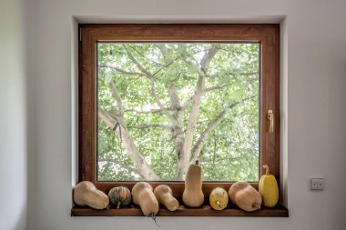 Pencere pervazında ağaca karşı kabak serileri