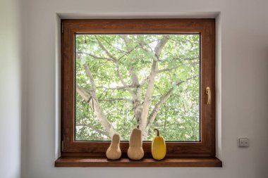 Pencere pervazında ağaca karşı kabak serileri