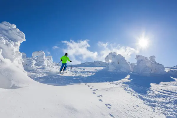 おとぎ話の冬の森に対する高山のスキージャースキーダウンヒル ストックフォト