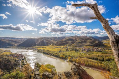 Avusturya 'nın Aşağı Avusturya bölgesindeki Durnstein köyü yakınlarındaki Tuna Nehri ile sonbahar boyunca Wachau Vadisi' nin (UNESCO) Panoraması