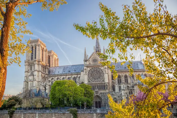 Paris Catedral Notre Dame Com Árvores Primavera França Fotos De Bancos De Imagens
