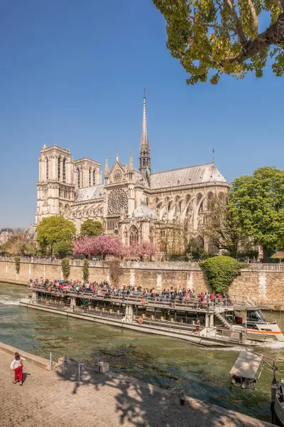 Paris Catedral Notre Dame Com Barco Sena França Imagens De Bancos De Imagens Sem Royalties