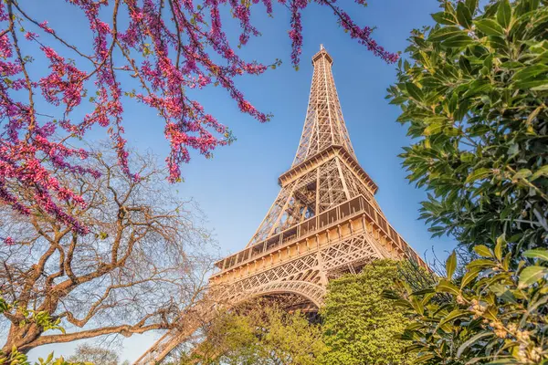 Ейфелева Вежа Під Час Весна Парижі Ліцензійні Стокові Зображення