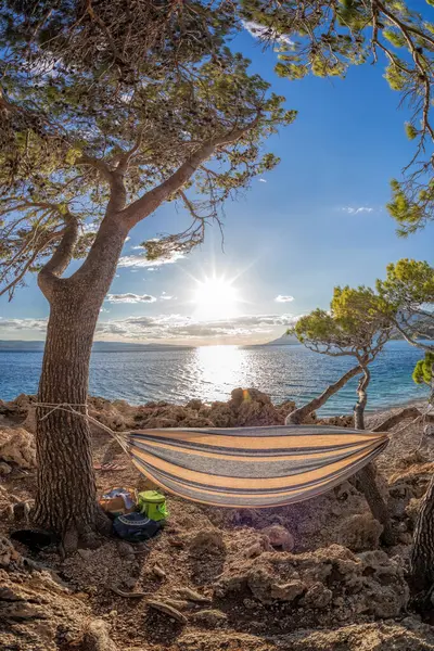 Мережа Хаммока Встановлена Пляжі Пунта Рата Брелі Хорватія Далмація Хорватське Ліцензійні Стокові Зображення