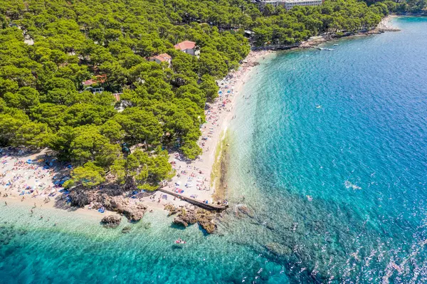 克罗地亚Brela的Punta Rata海滩 空中景观 亚得里亚海 绿松石清水 沙滩白沙 免版税图库图片