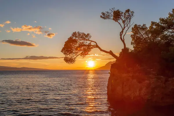 Punta Rata Beach Stone Island Sunset Brela Makarska Dalmatia Croatia Stok Gambar Bebas Royalti