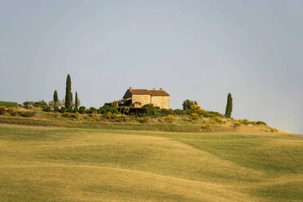 Rolling Hills Tuscany Italy Taken May 2022 — Stok fotoğraf