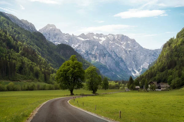 Logar Valley Julian Alps Slovenia Taken June 2022 Stockbild