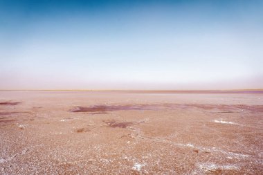 Tunus 'taki Pembe Tuz Gölü